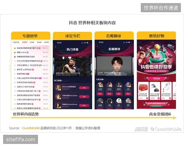 世界杯赛事票务技术升级，缩减赞助权益传播冗余，实现商业转化闭环
